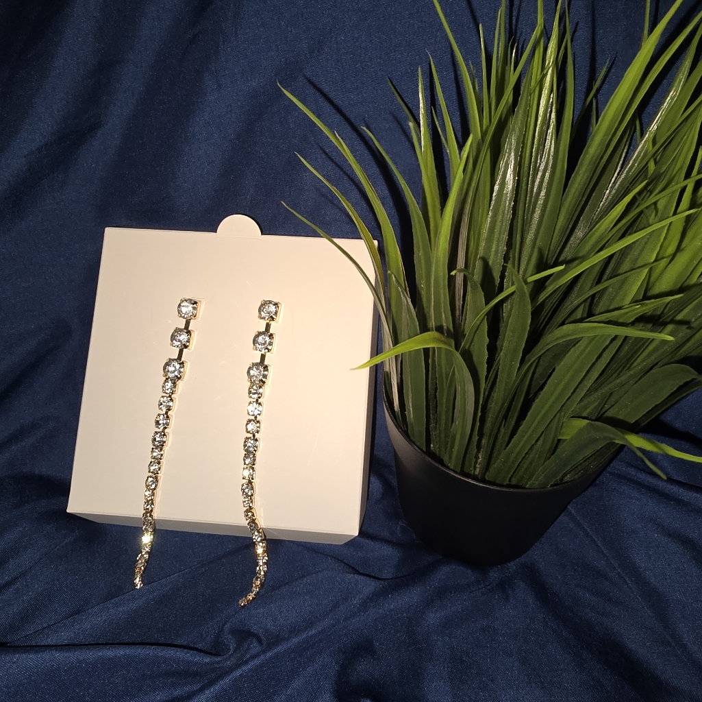 Steve Madden Earrings Nib 23$